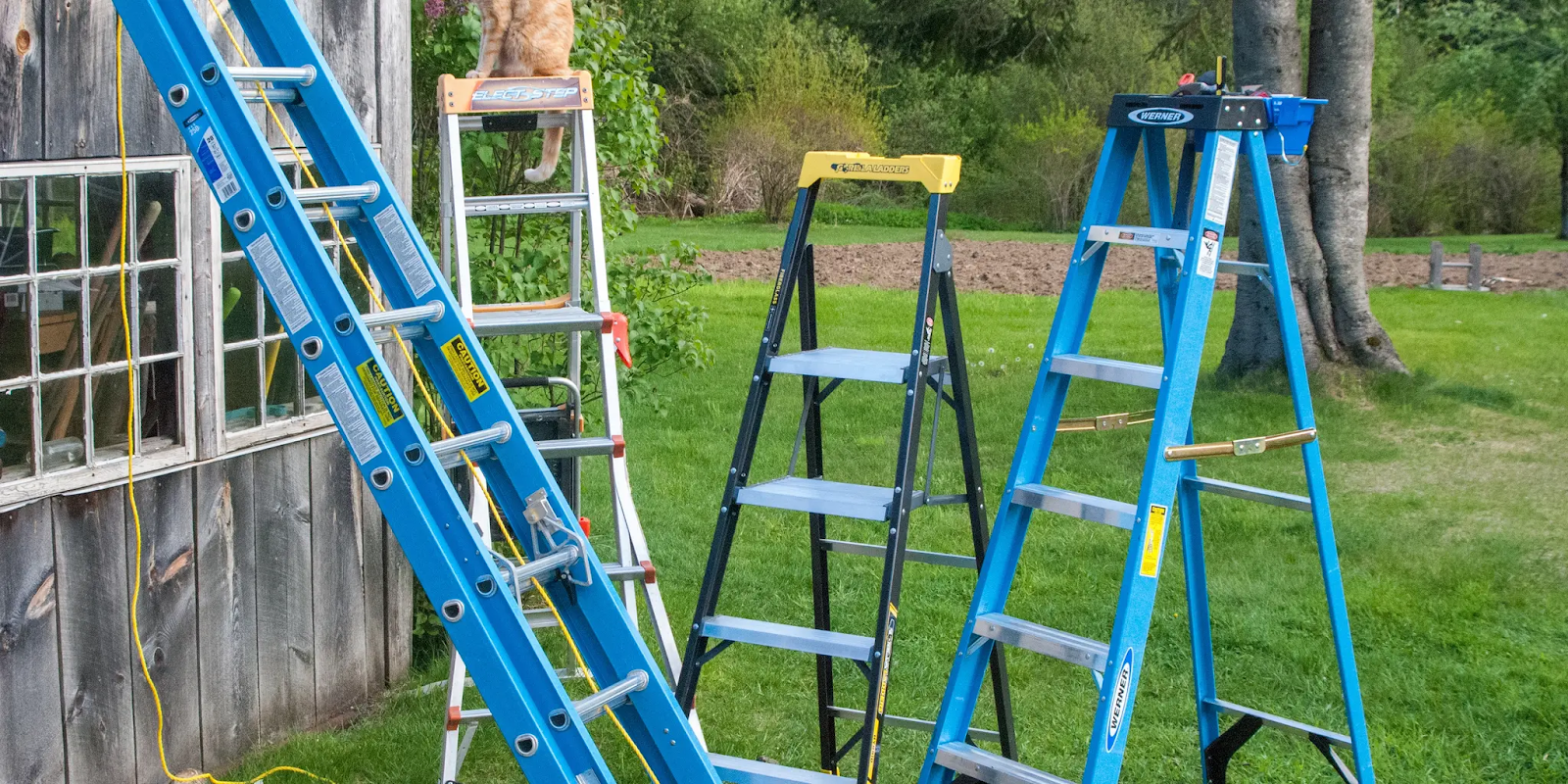 Collection of step ladders, a multi-position ladder, and a step stool on a lawn.
