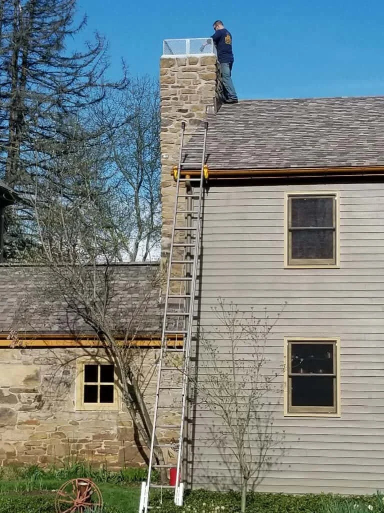 What exactly is a ladder safety device?