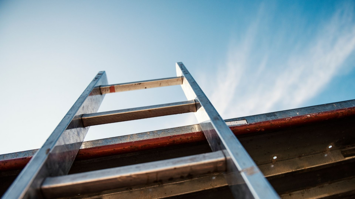 Types of Ladder Materials